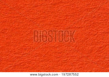 Close up of orange texture background, macro shot. High resolution photo.