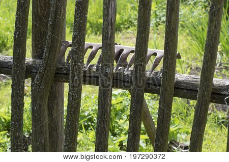 Metal rake lying on the mossy wooden fence in the old Russian style on the background of the garden
