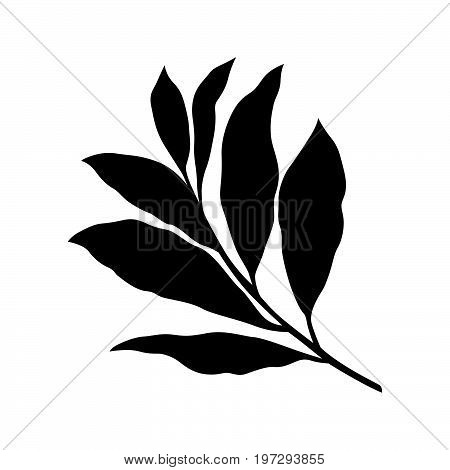 Branc of bay with leaves, shade picture