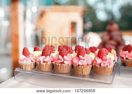 many mini vanilla cupcakes with flavoured buttercream decorated with fresh raspberries in a line on table. party in Park or forest