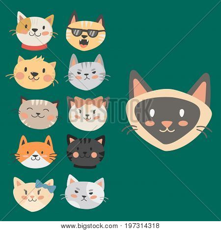 Cats heads vector illustration cute animal funny decorative characters color abstract feline domestic trendy pet drawn. Happy mammal fur adorable breed.