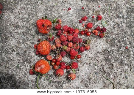 bright sweet appetizing raspberries and strawberries lay on stone surface