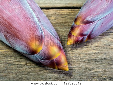 Silver Bluggoe Banana Blossom