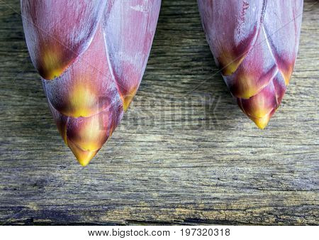 Silver Bluggoe Banana Blossom