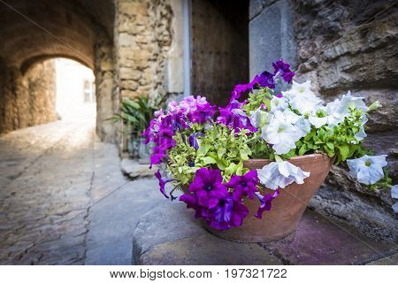 White and magenta flowers in Peratallada. It is a picturesque medieval old town in the heart of Costa Brava, Catalonia, Spain.