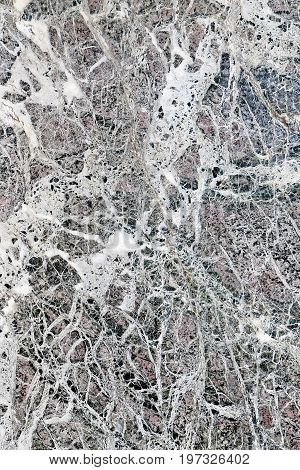 Marble Texture In Loggia Dei Lanzi At Florence
