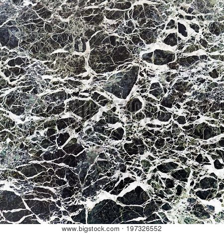 Marble Texture Loggia Dei Lanzi In Florence