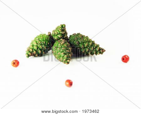 Green Pine Cones And Rowan