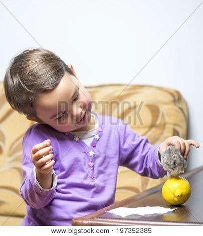 little girl playing with her hamster and a lemon