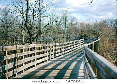 Bridge for walking through wooded paths in forest