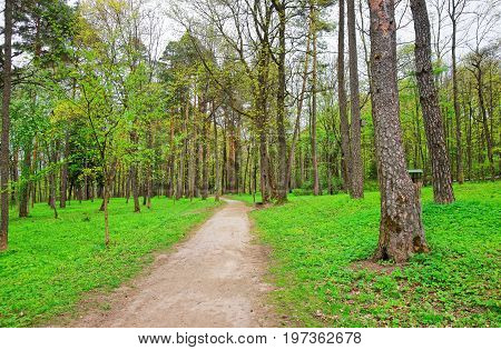Pathway At Traku Voke Public Park In Vilnius Baltic