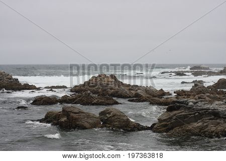 This is an image of the incoming tide and tide pools taken at 
Asilomar Reserve on a quiet overcast day.