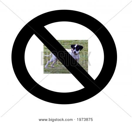 Ingen hunde tegn
