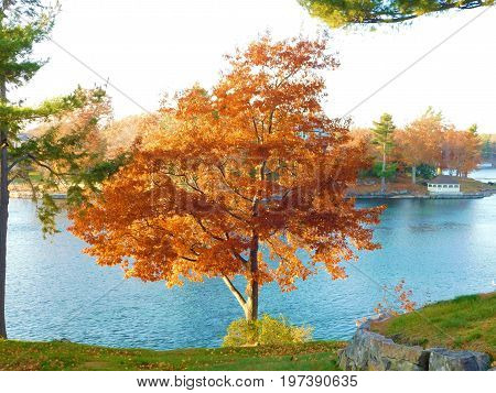 Fall on the St. Lawrence River at Keewaydin State Park