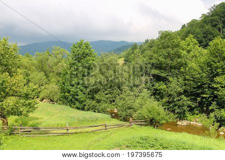 Small mountain river in Carpathians Ukraine. Schodnica