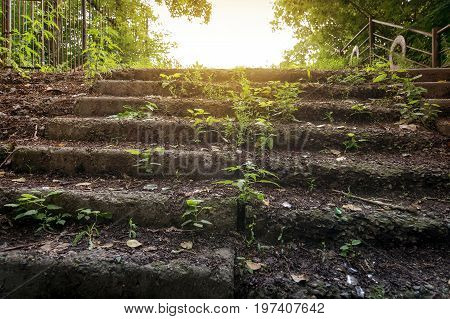 Old Abandoned Stone Staircase In Park