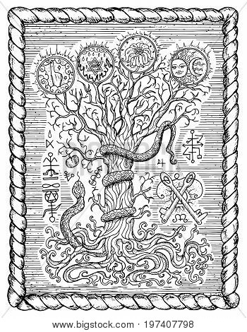 Black and white drawing with mystic and christian religious symbols as snake, tree of knowledge and forbidden fruit in frame. Occult and esoteric vector illustration, gothic engraved background