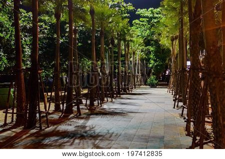 Promenade Walkway Along Jomtien Pattaya Beach At Night Time After Reconstruction.