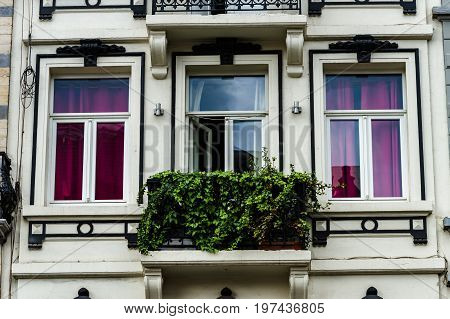 Old But Renovated Windows In Historical Part Of Bruxelles