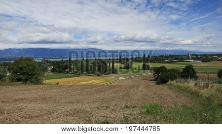 Vineyard near Lake Geneva and Swiss mountains, Switzerland
