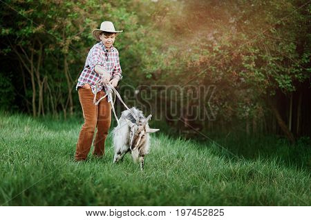 The Shepherd Boy throws the lasso on the goat. The boy catching a goat by roap. Goat roping