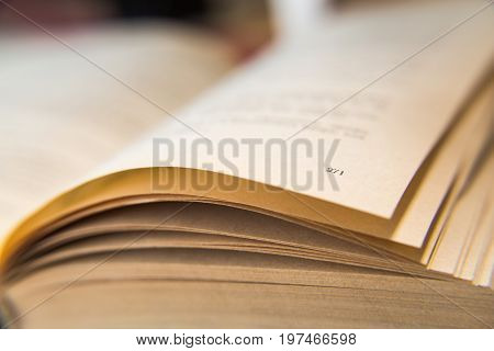 Open old book. Yellowed pages. Page number 271. Paper texture. Macro.