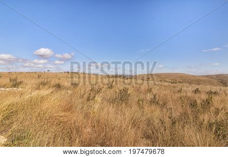 Plateau on Serra da Canastra. Serra da Canastra National Park is a national park in the Canastra Mountains of the state of Minas Gerais Brazil.