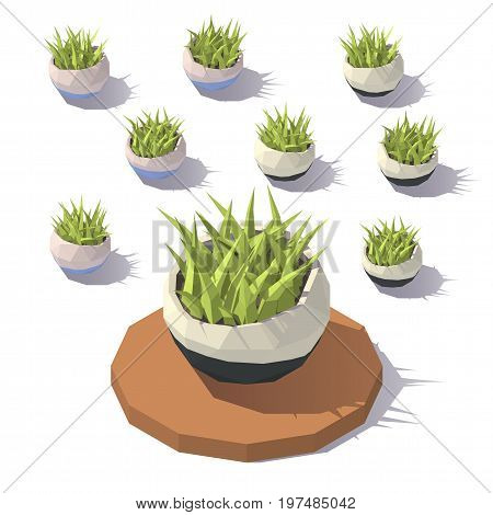 Vector isometric low poly potted grass. Vector low poly illustration.
