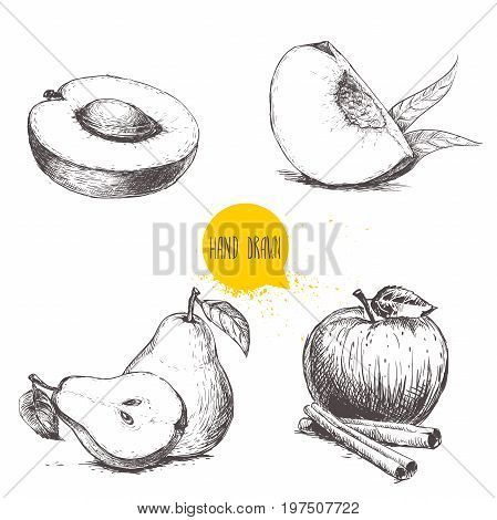 Hand drawn sketch style fruits set. Apricot peach quarter with leafs whole pear and half apple with cinnamon sticks. Vector illustration collection on white background.
