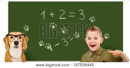 Laughing boy, pointing finger on a beagle dog wearing glasses on the background of the school board