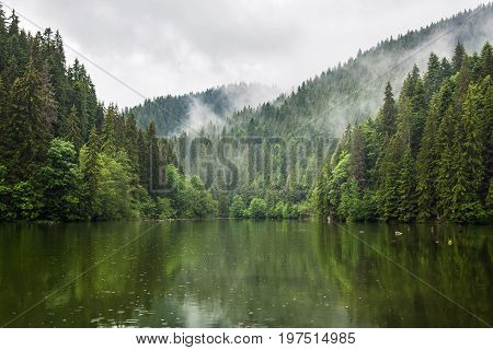 Mountain lake scenery Lacu Rosu or Red lake in cloudy rain weather Eastern Carpathians Romania nature landscape background.