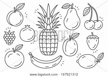 Fruits icons. Line series. Vector illustration. Vector