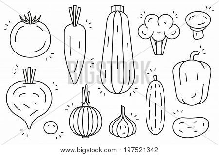 Vegetables icons. Line series. Vector illustration. Vector