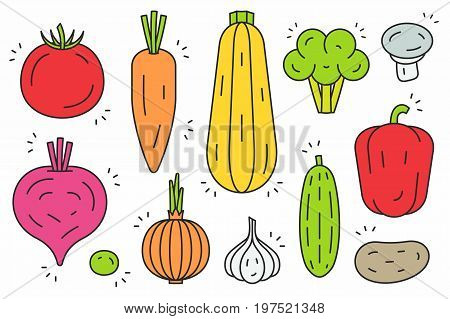 Vegetables icons. Line series. Vector illustration. Vector