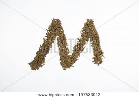 Written letters with carum carvi on white background
