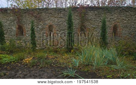 Ruins of stronghold in the forest surrounded by trees