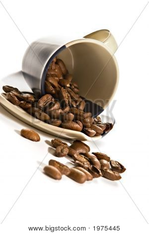 Kávová zrna v hnědé Cup