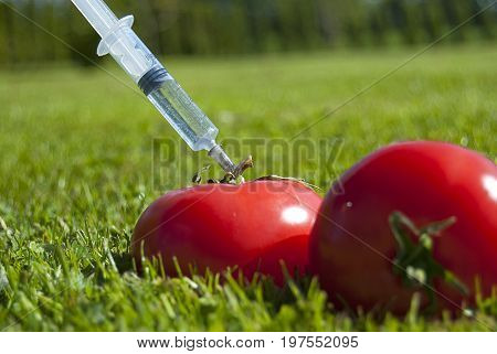 Genetic modification of tomatoes. Fresh, juicy tomatoes with syringe.