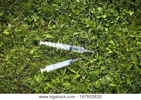 Used medical syringes found in the grass
