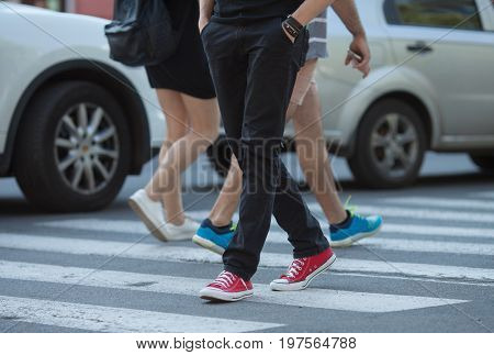 People's legs on cross walk, walking. Zebra.