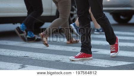 People's legs on cross walk, walking. Zebra.