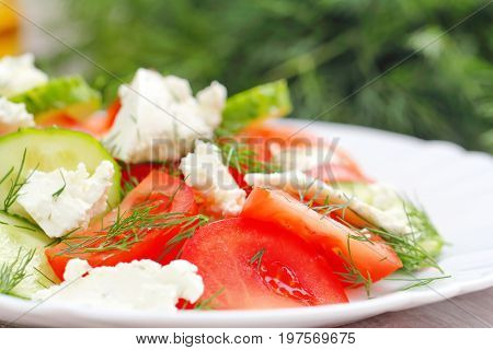 Vegetable Salad With Cheese