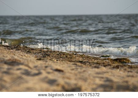 Wave rolling on the sandy shore of the Black Sea, Southern Ukraine