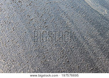 Dirt in the pond with bubbles, Enviroment