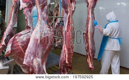cutting meat slaughterhouse workers in a meat factory