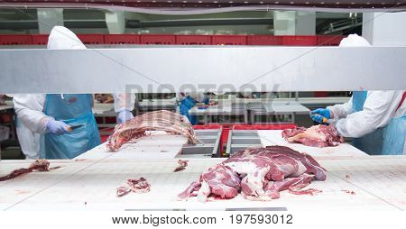 cutting meat slaughterhouse workers in a meat factory