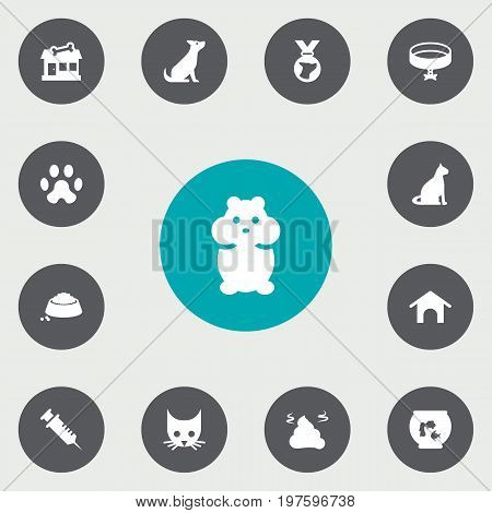Collection Of Footprint , Neckband , Dog Elements.  Set Of 13 Animals Icons Set.