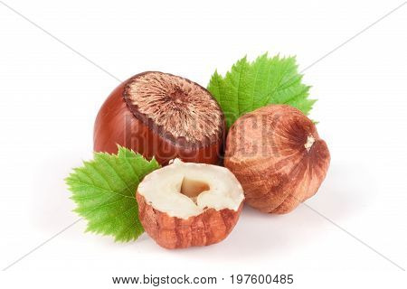 Hazelnuts with leaves isolated on white background.