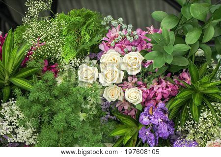 the seed-bearing part of a plant, consisting of reproductive organs (stamens and carpels) that are typically surrounded by a brightly colored corolla (petals) and a green calyx (sepals)
