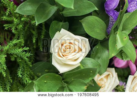 the seed-bearing part of a plant, consisting of reproductive organs (stamens and carpels) that are typically surrounded by a brightly colored corolla (petals) and a green calyx (sepals)